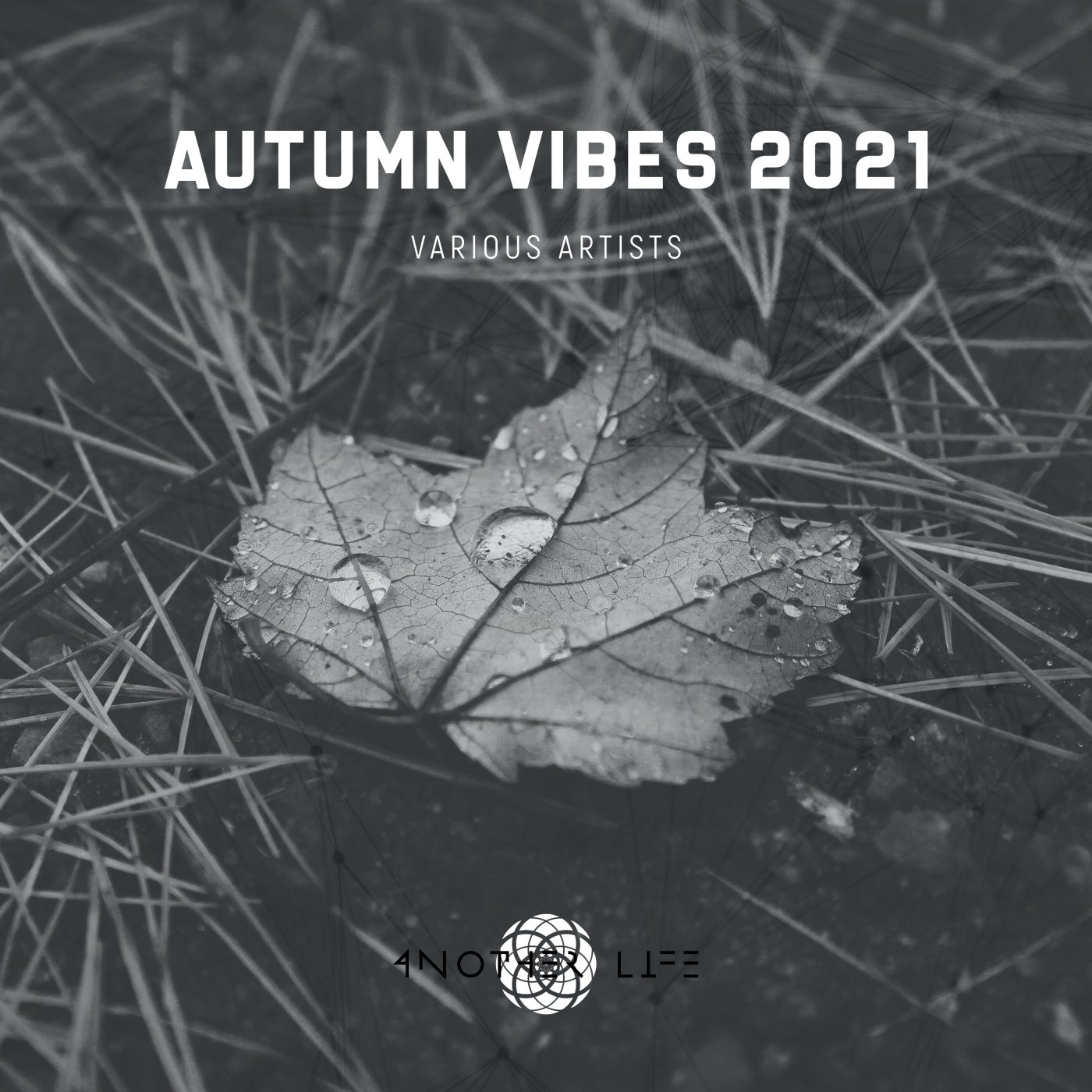 VA - Autumn Vibes 2021 [ALMVA092021]